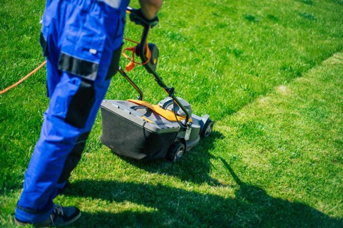 Healthy lawn and turf care